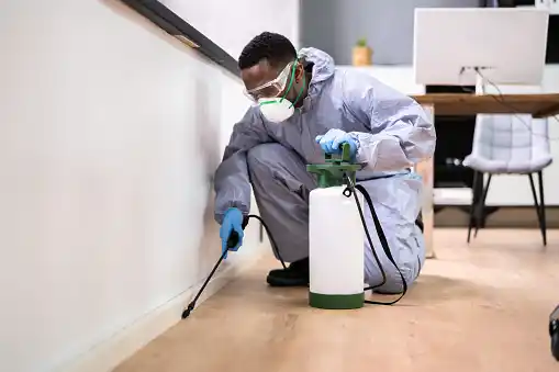 pest control Rainberry Lake